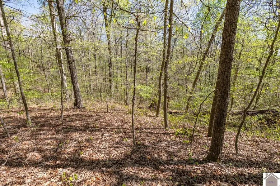 000 Skylark Road, Murray, KY 42071 - #3