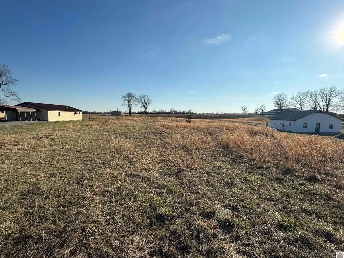 5045 State Route 80 West, Mayfield, KY 42066 - #1