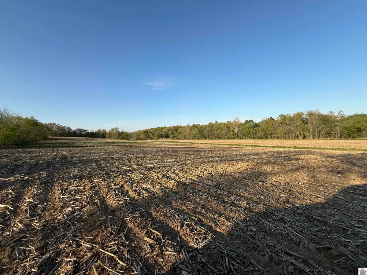 0 Carter Road, Mayfield, KY 42066 - #1