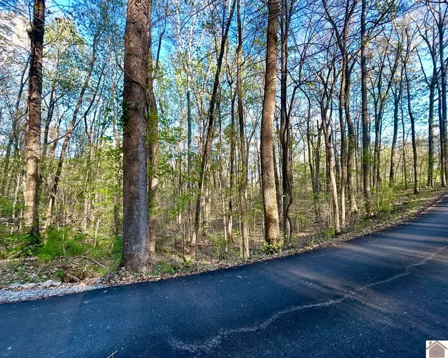 Lot 14e Commerce Landing Rd., Eddyville, KY 42038 - #3