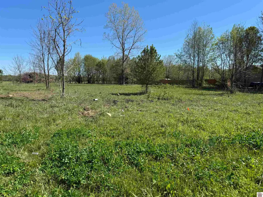 101 Foster Dr, Kevil, KY 42053 - #2