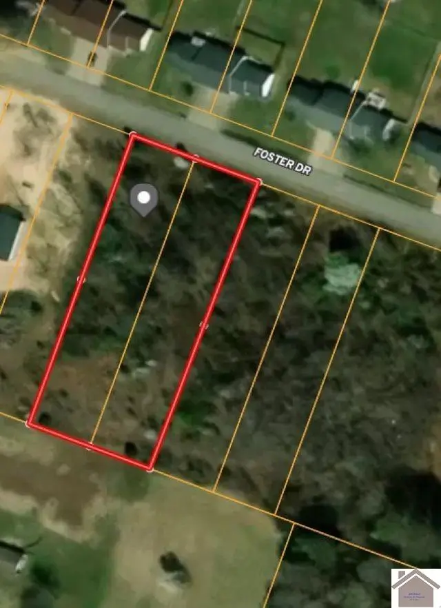 Lots 110 & 120 Foster Dr, Kevil, KY 42053 - #1
