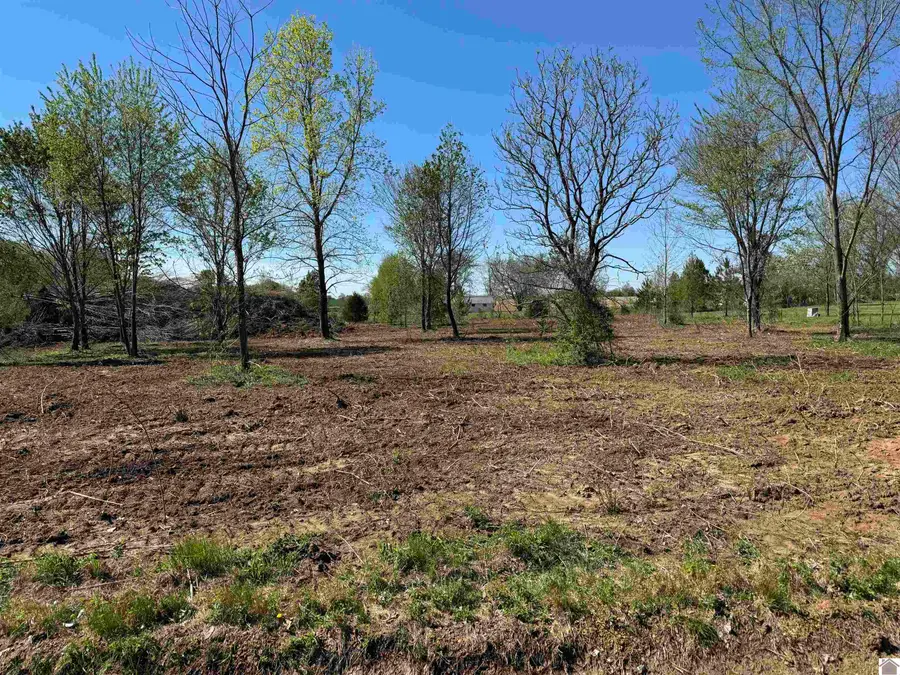 Lots 110 & 120 Foster Dr, Kevil, KY 42053 - #2