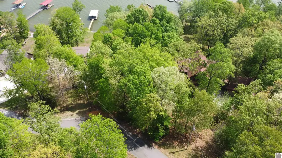 Lot #7 Red Water Drive, New Concord, KY 42076 - #3