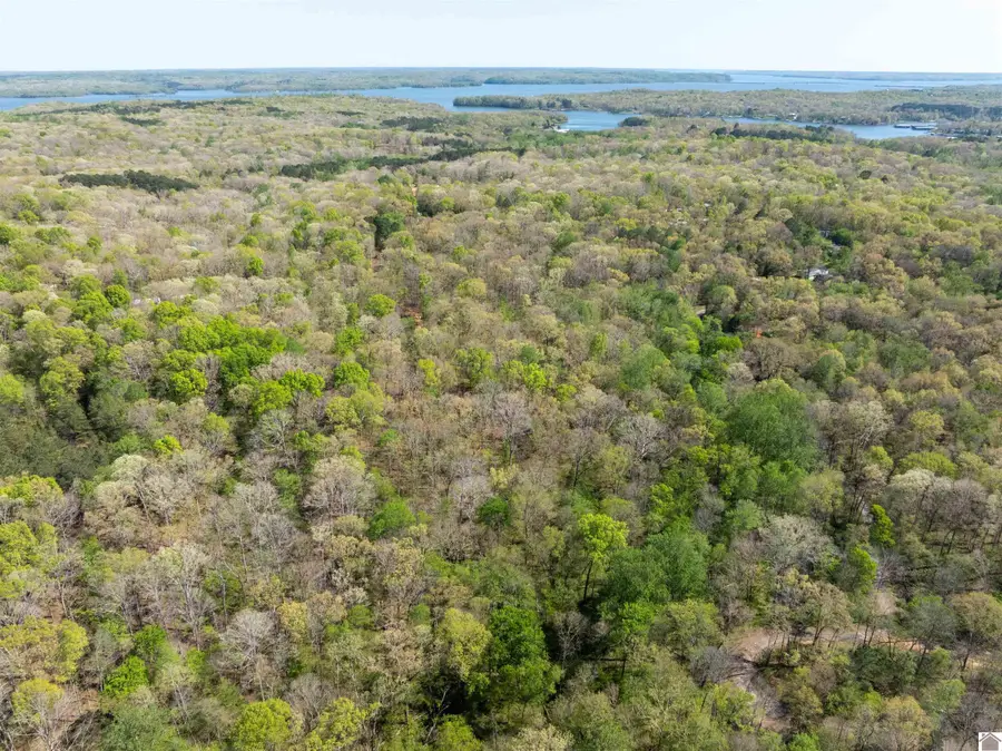 00 Shannon Creek Road, New Concord, KY 42076 - #3