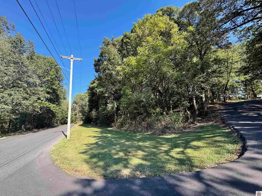 0 Lincoln Drive, Mayfield, KY 42066 - #2