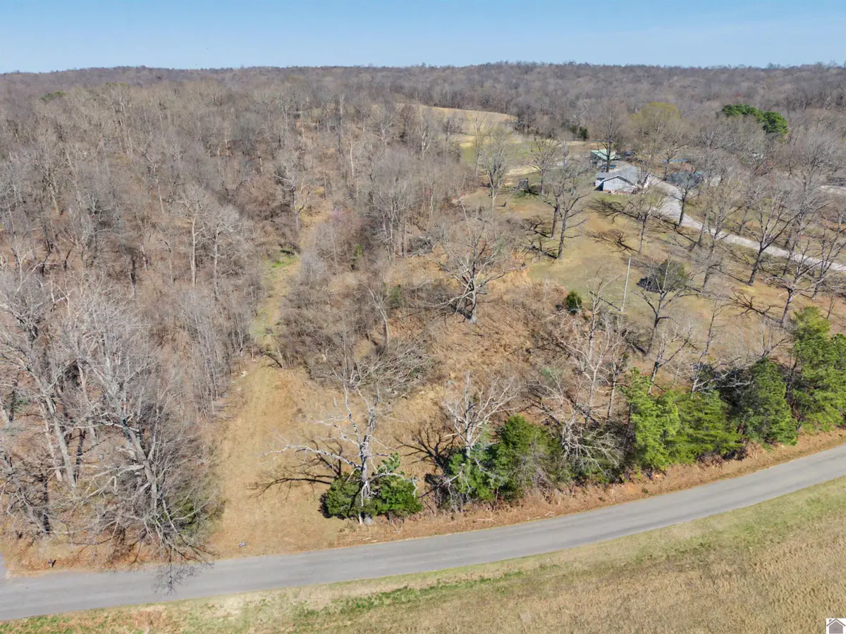 2113 Chestnut Oak, Kuttawa, KY 42055-6634 - #1