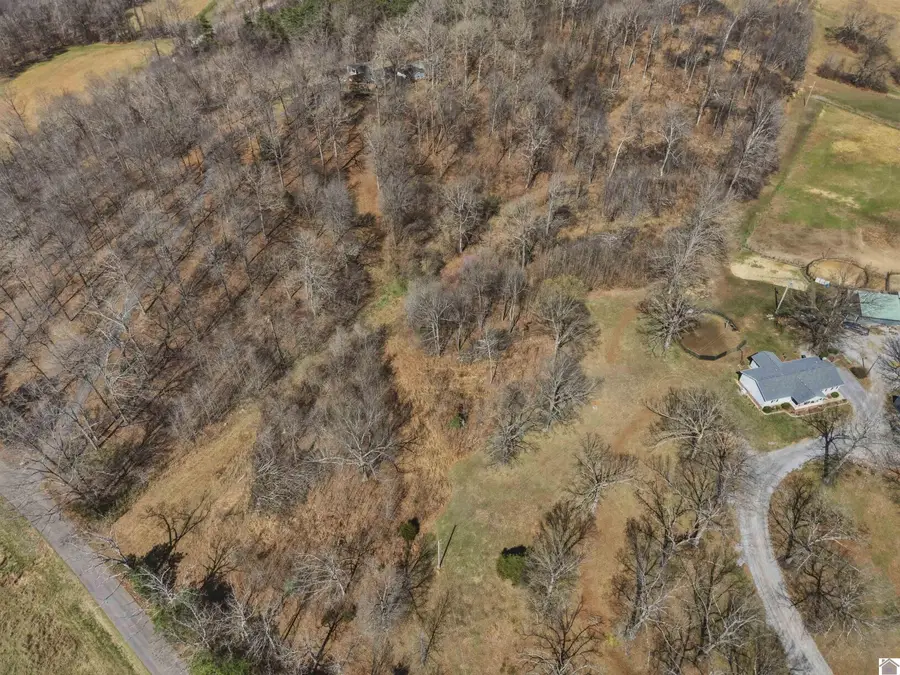 2113 Chestnut Oak, Kuttawa, KY 42055-6634 - #2