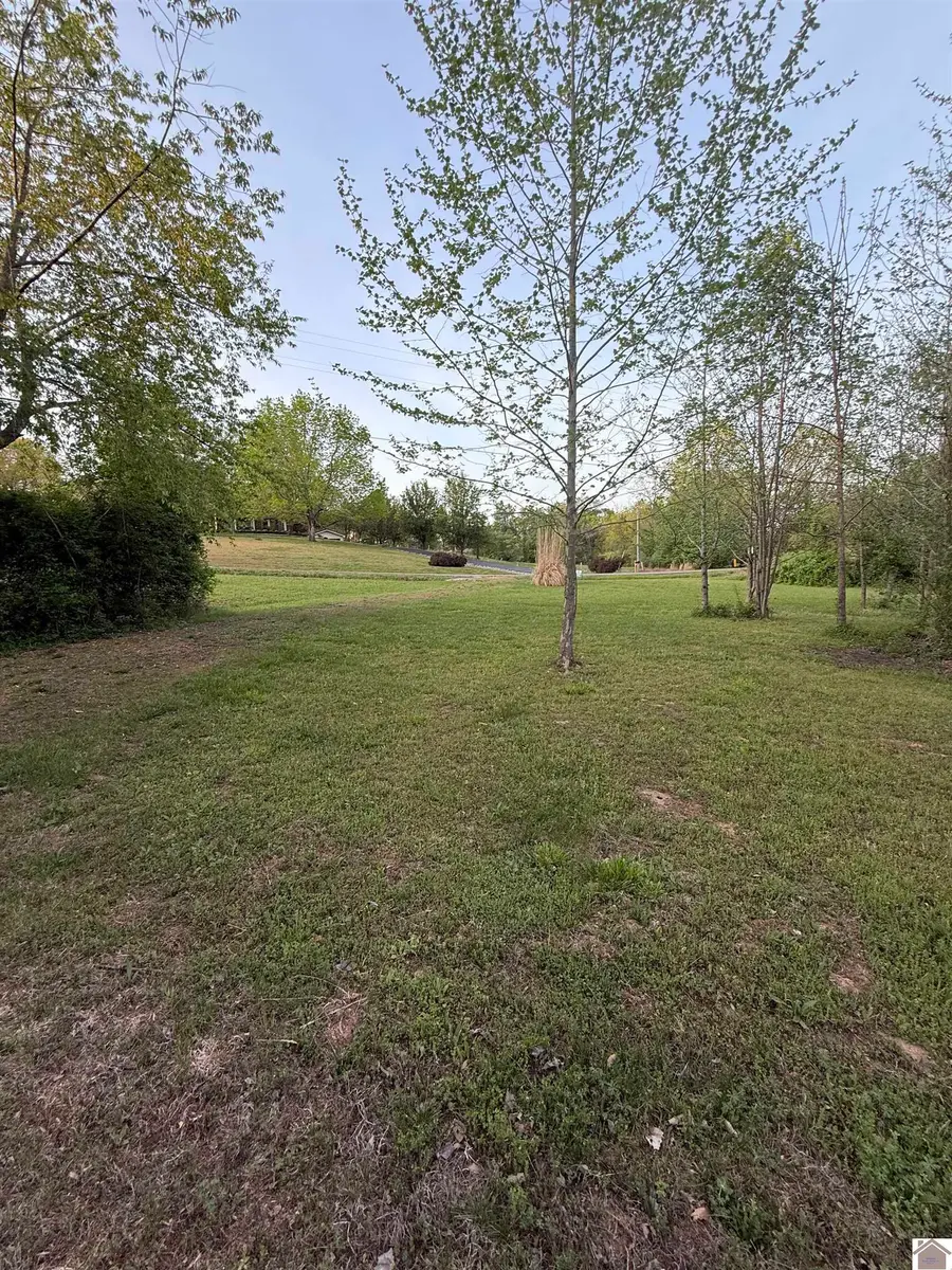 87 New Hope Rd, Calvert City, KY 42029 - #2