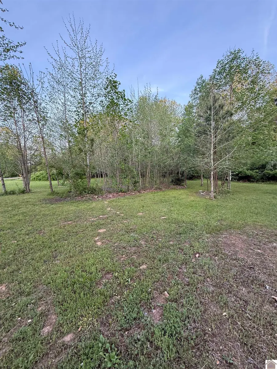 87 New Hope Rd, Calvert City, KY 42029 - #3