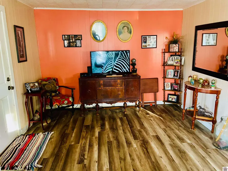 312 Drivers Lane, Mayfield, KY 42066 - #3