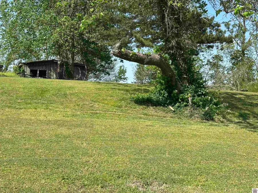 0 Doran Drive, Wingo, KY 42088 - #2