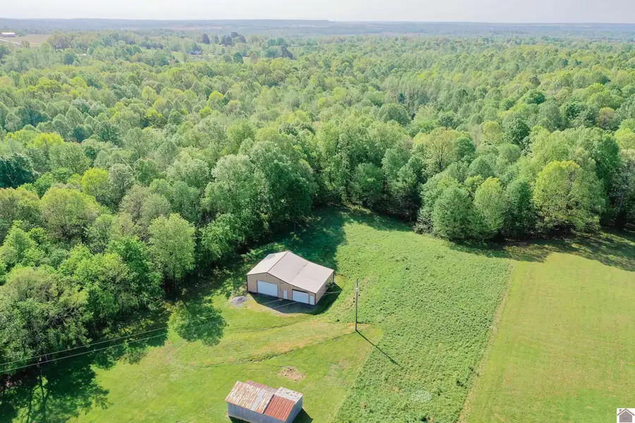 683 Sulphur Springs Cemetery Rd, Marion, KY 42064 - #3