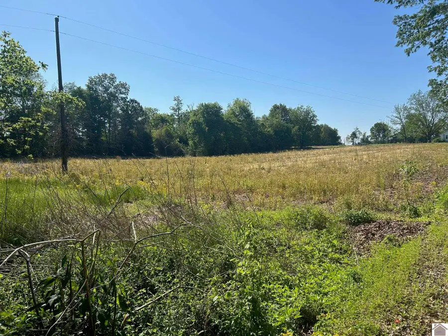 000 Arnett Lane, Murray, KY 42071 - #2