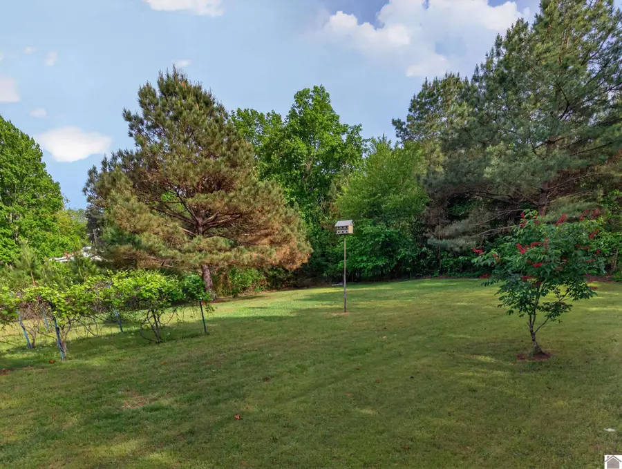 161 Wesley Dr, Murray, KY 42071 - #3