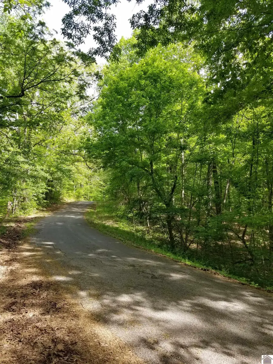 000 Irma White Rd, Marion, KY 42064 - #2