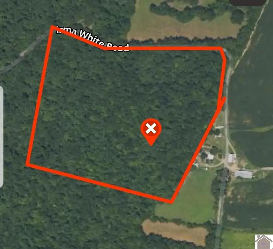000 Irma White Rd, Marion, KY 42064 - #3