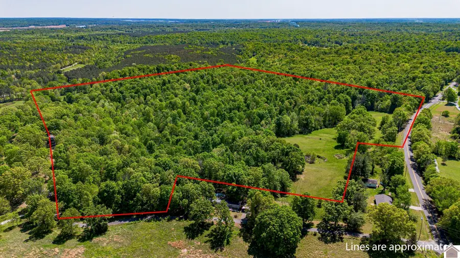 000 Paradise Road, Grand Rivers, KY 42045 - #3