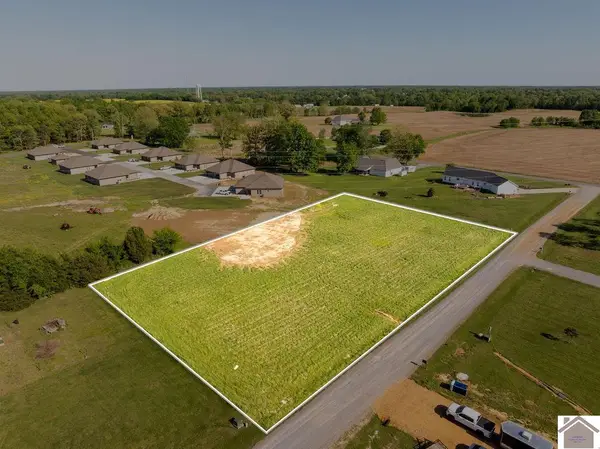 000 Tiger Lake Cove, Benton, KY 42025