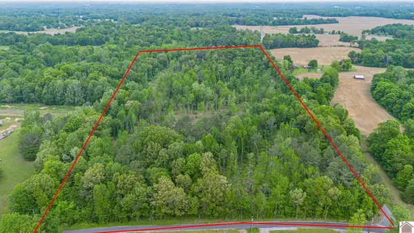 000 Chester Rd, Kirksey, KY 42054