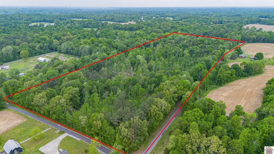 000 Chester Rd, Kirksey, KY 42054 - #3