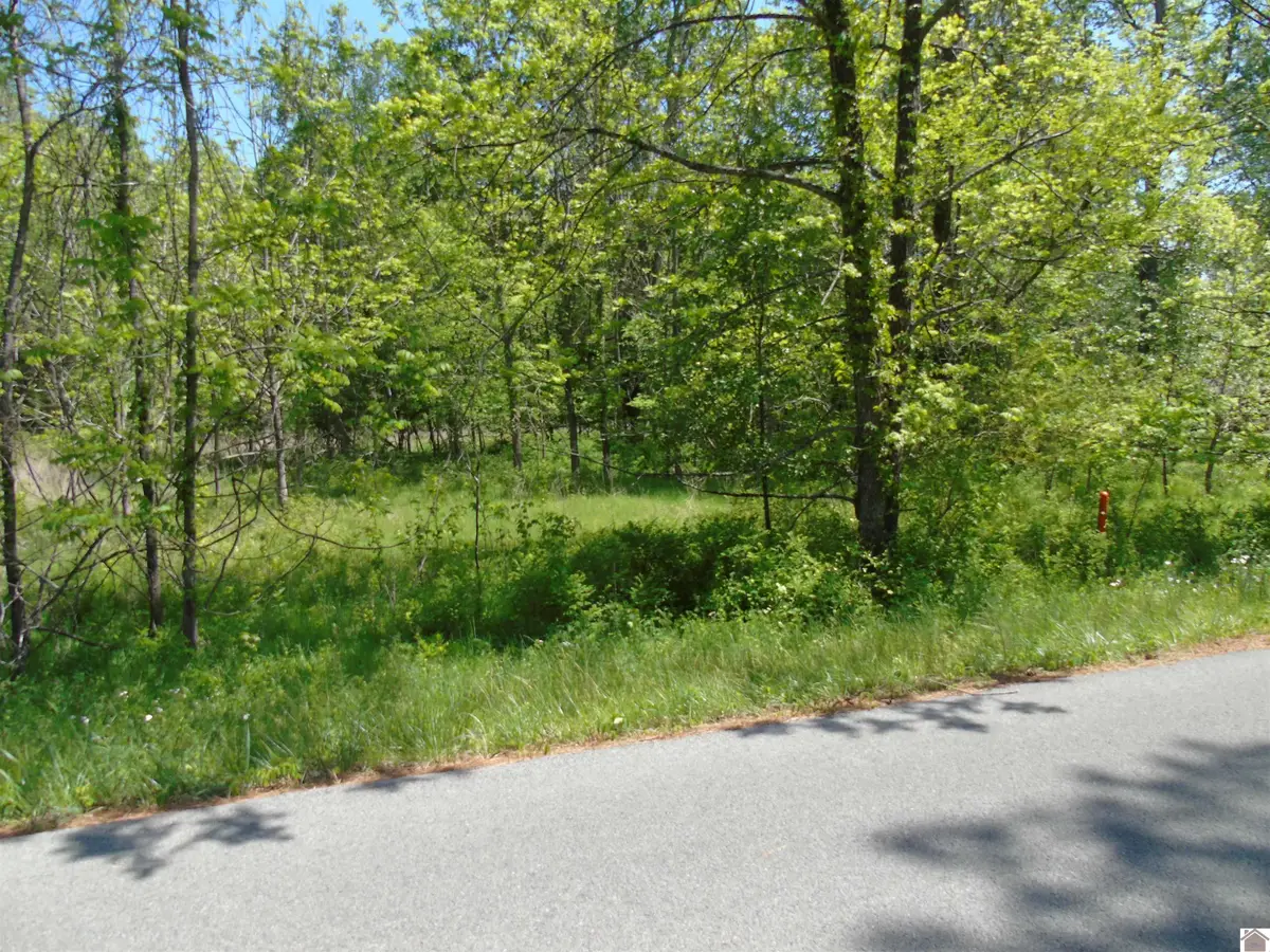 1000 Trigg Furance Road, Cadiz, KY 42211 - #1