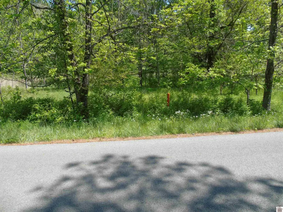 1000 Trigg Furance Road, Cadiz, KY 42211 - #2