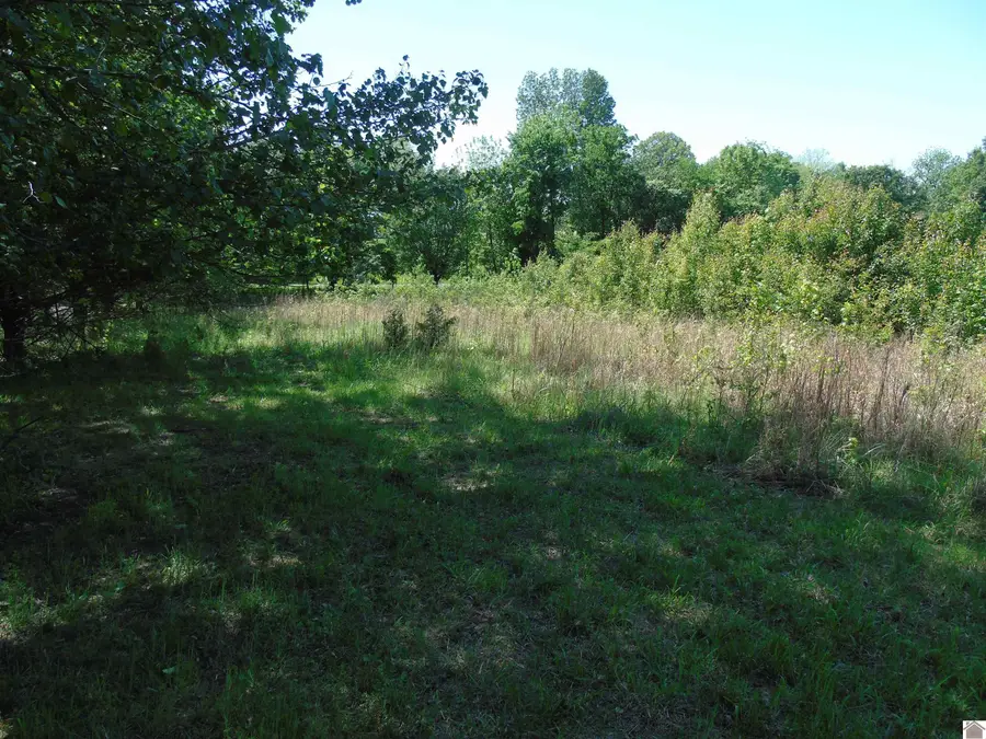 150 Clover Circle, Cadiz, KY 42211 - #2