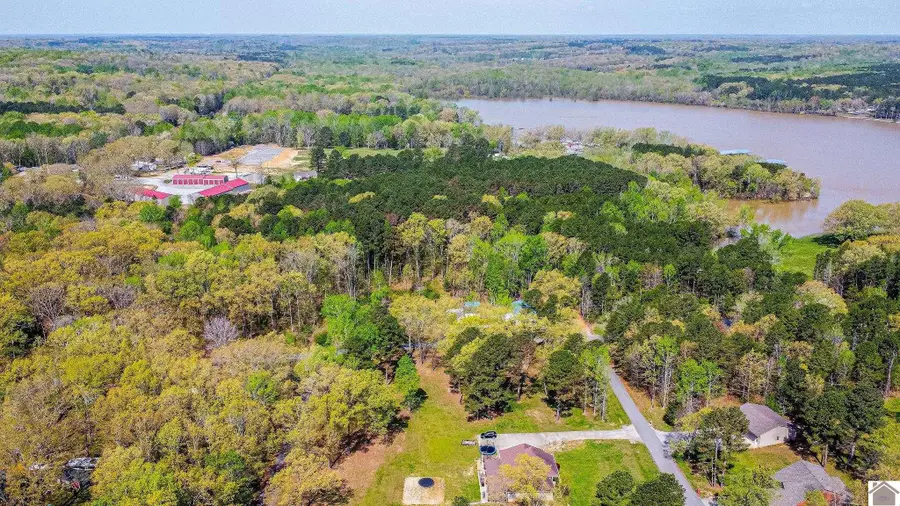 84 Launch Lane, Murray, KY 42071 - #3