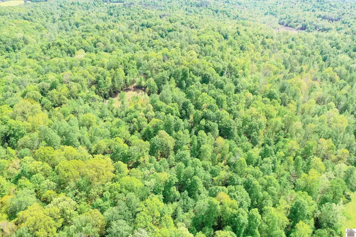 406 Lakewood Rd-tract 1, Princeton, KY 42445 - #1