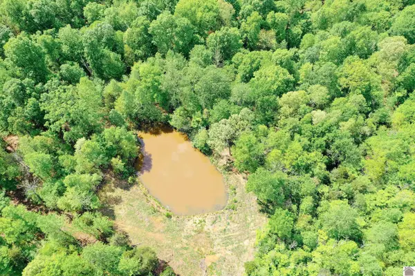 406 Lakewood Rd-tract 3, Princeton, KY 42445