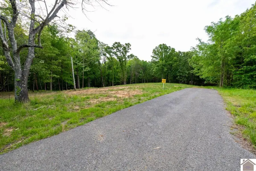 000 Hawkeye Road, Gilbertsville, KY 42044 - #3