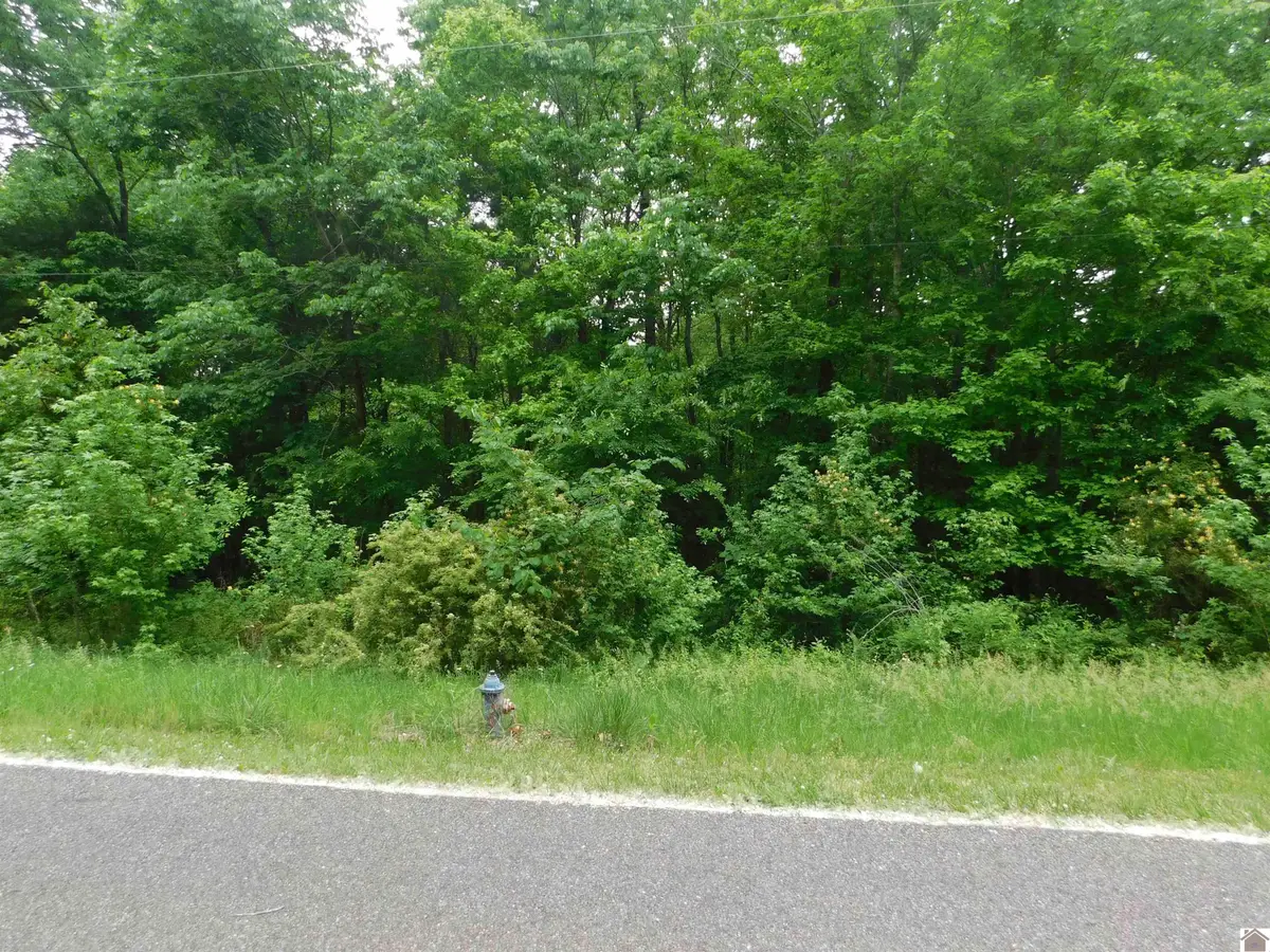 Lots 63,64,65 Arrowhead Acres, Southeast Lyon, KY 42445 - #1