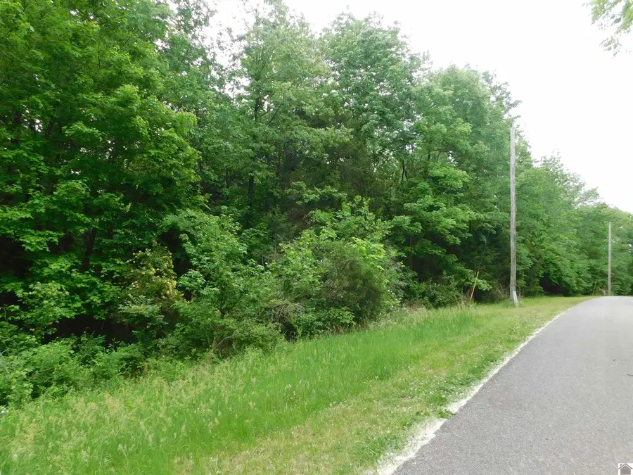 Lots 63,64,65 Arrowhead Acres, Southeast Lyon, KY 42445 - #2
