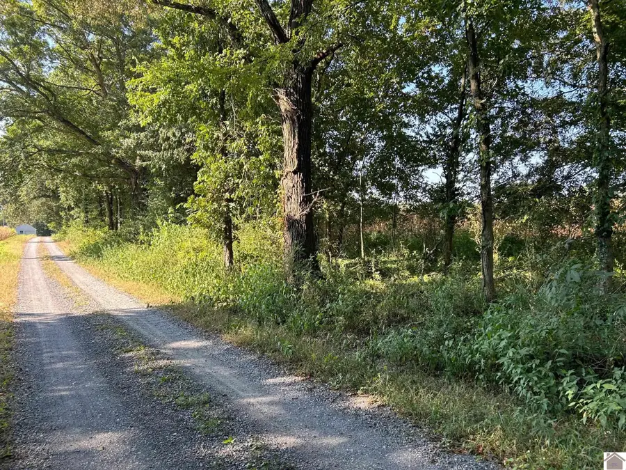 000 Arnett Lane, Murray, KY 42071 - #2
