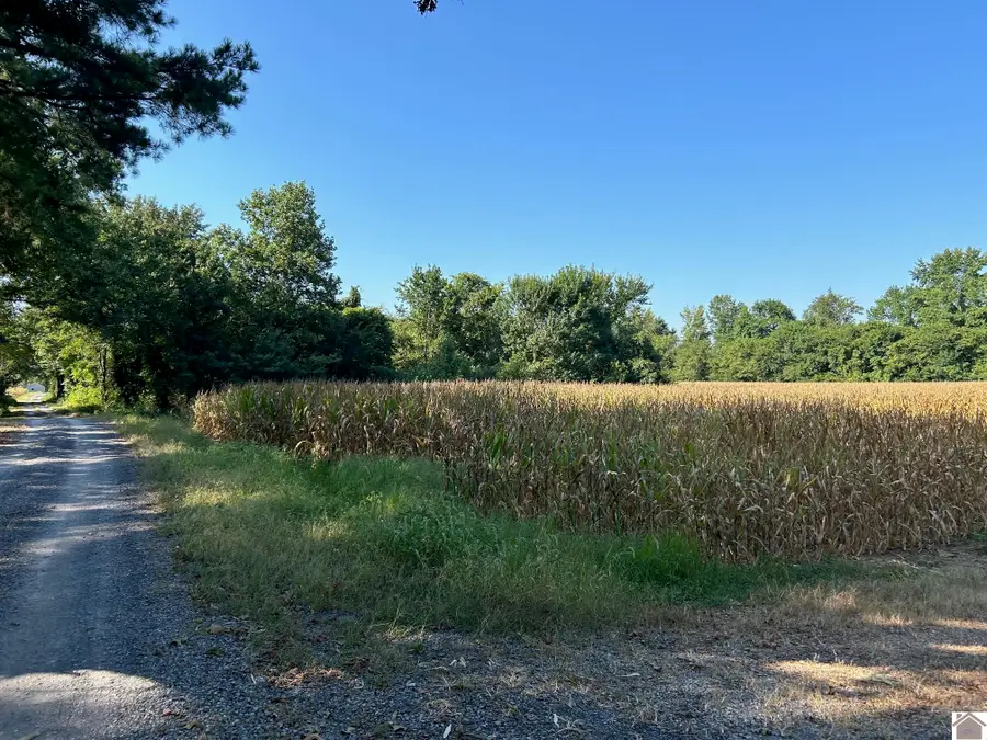 000 Arnett Lane, Murray, KY 42071 - #3