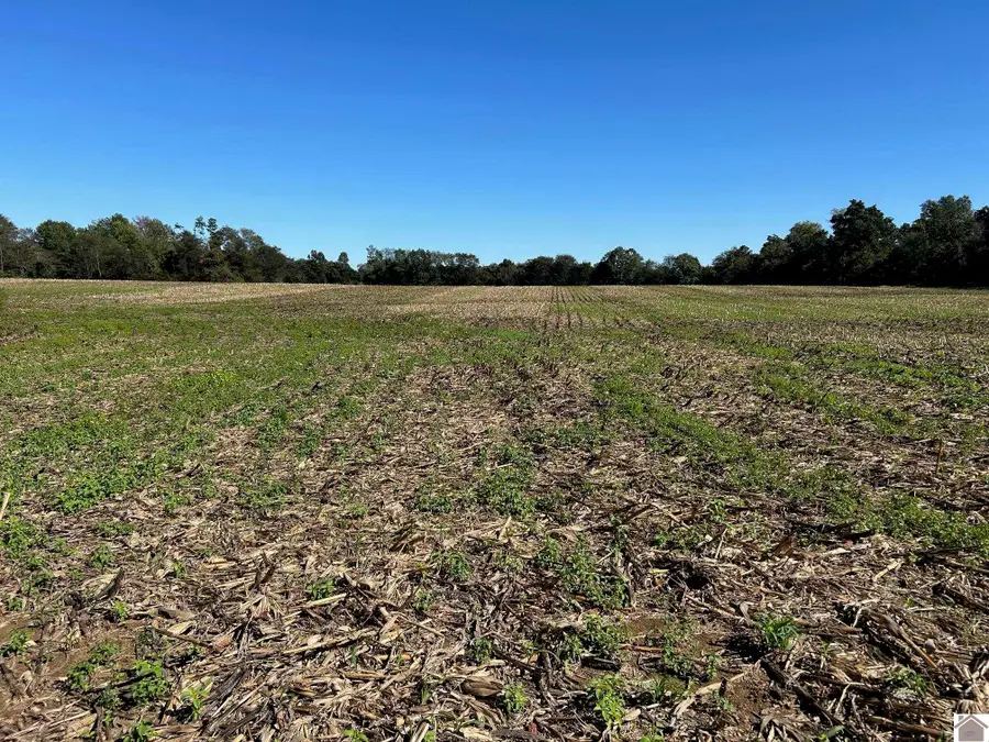 00 Arnett Lane Tract A, Murray, KY 42071 - #2