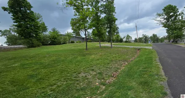 53 Knox Drive, Gilbertsville, KY 42044