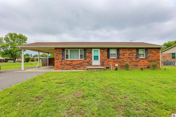 206 Faye Dr, Ledbetter, KY 42058