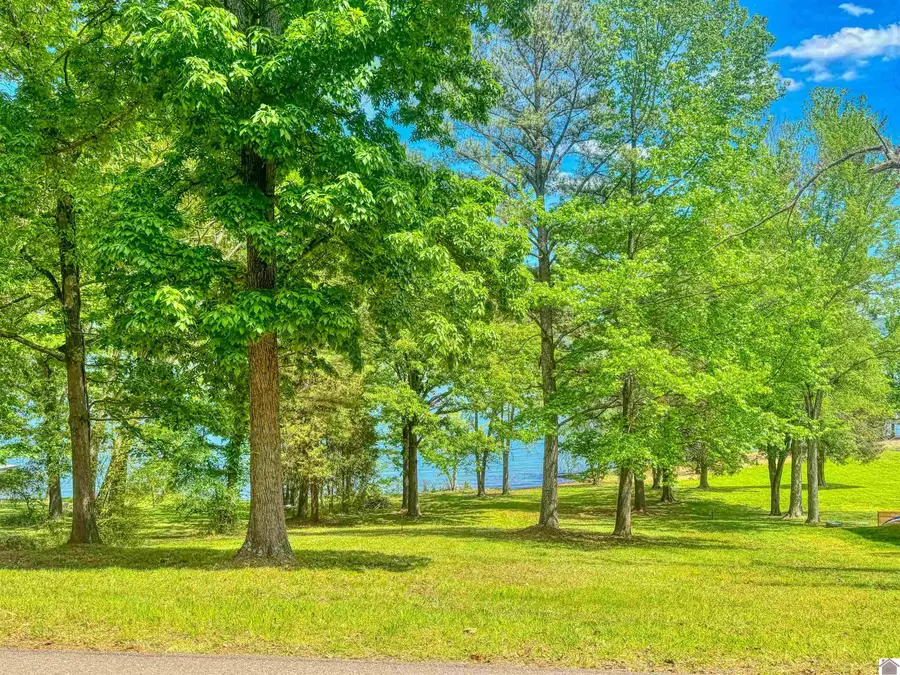 284a Lakeshore Dr., New Concord, KY 42076 - #2