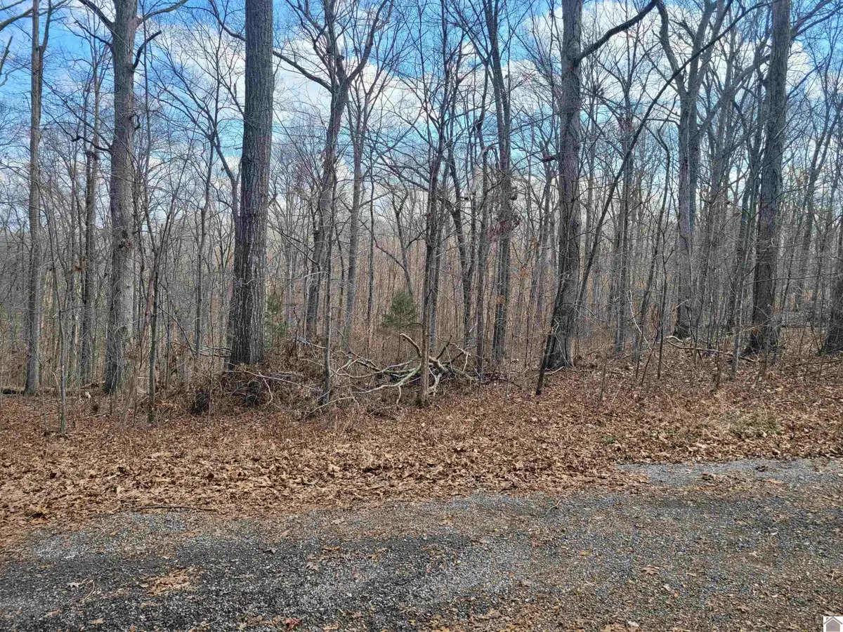 Lot 843 And 844 Sullivan Road, New Concord, KY 42076 - #1