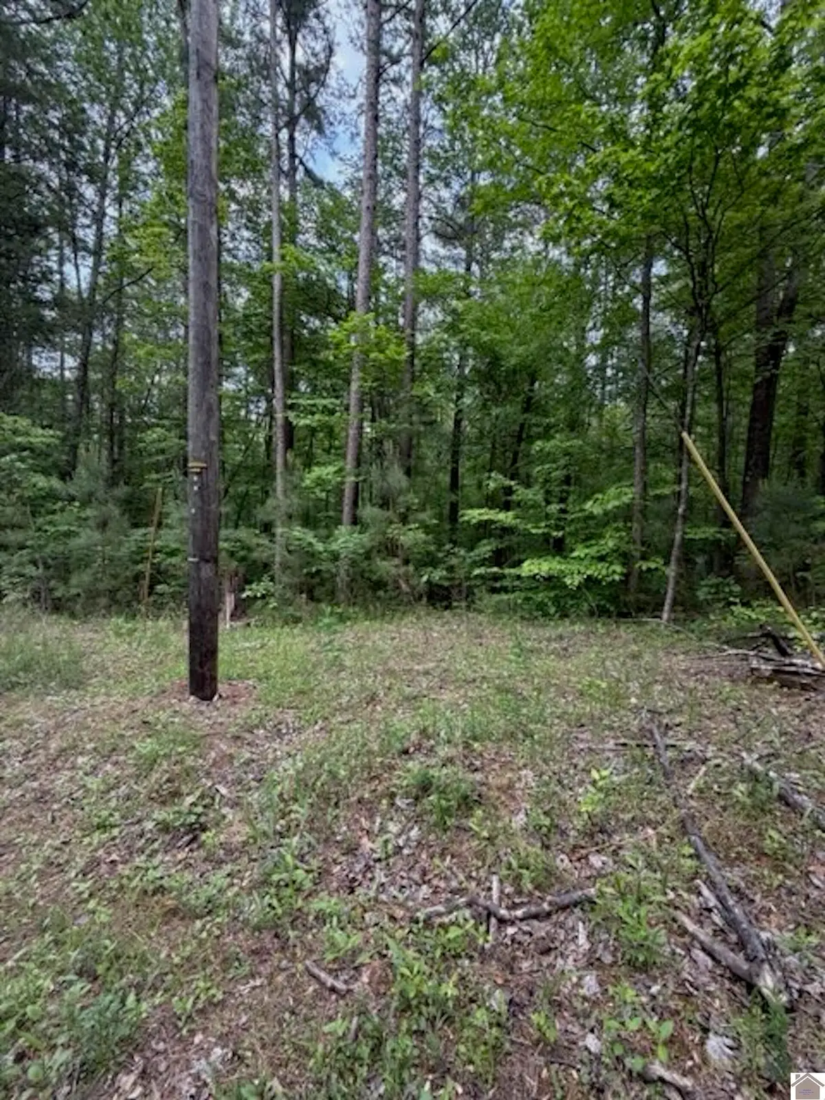 000 Songer Ln, Murray, KY 42071 - #1