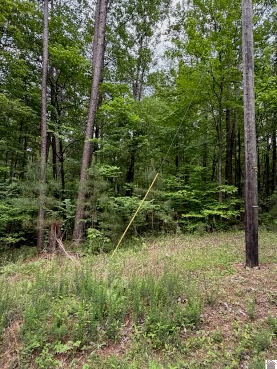 000 Songer Ln, Murray, KY 42071 - #2