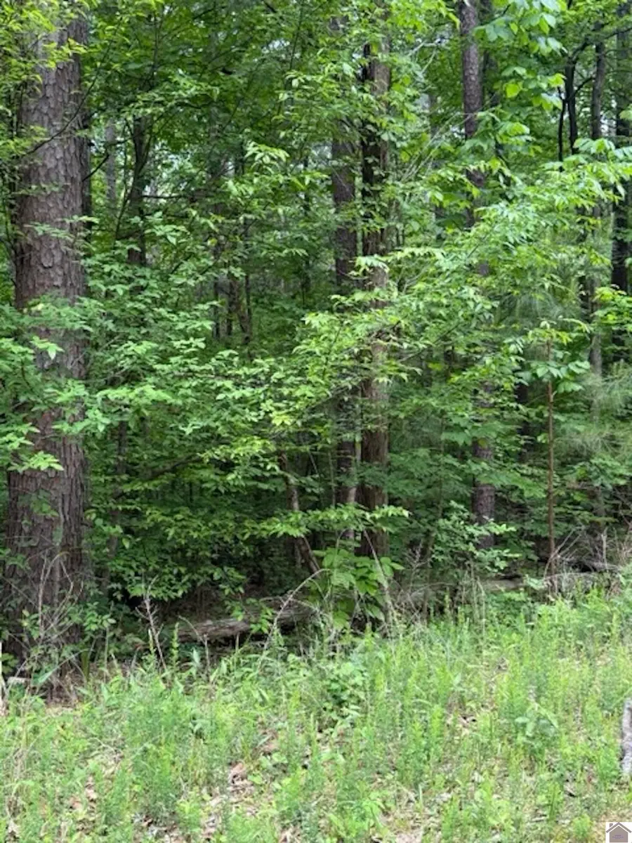 000 Songer Ln, Murray, KY 42071 - #3