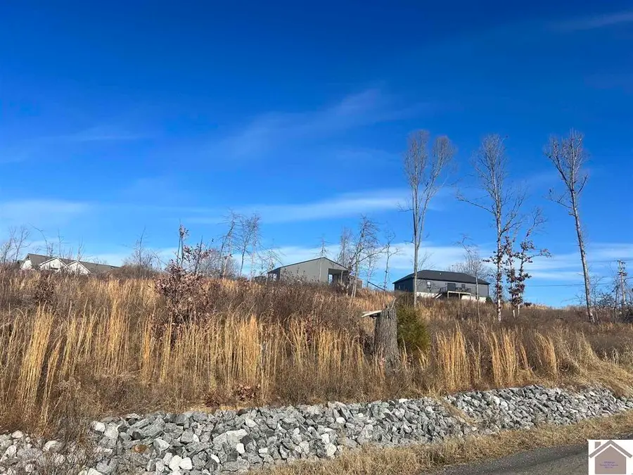 147 Cambridge Shores Drive, Gilbertsville, KY 42044 - #2