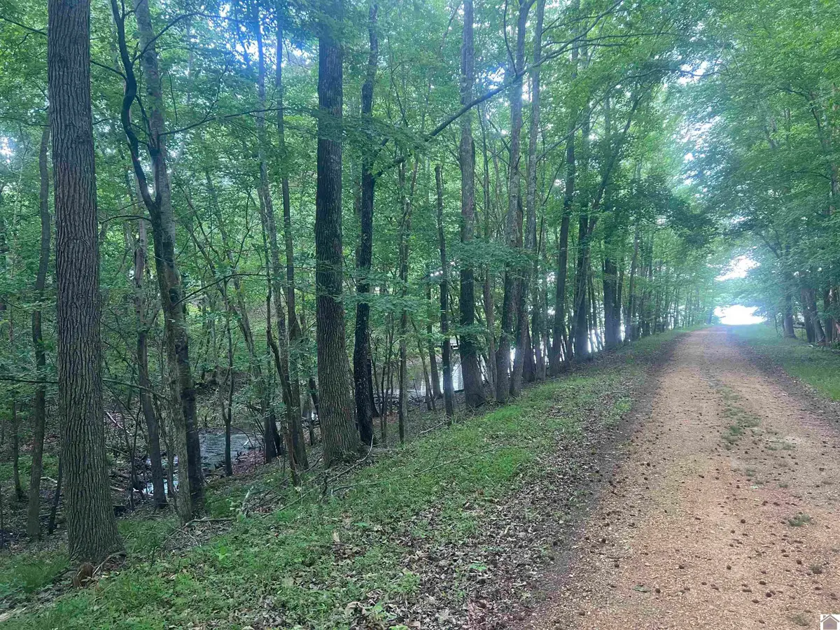 Lot 51 Block E Serenity Shores Rd., Benton, KY 42025 - #1