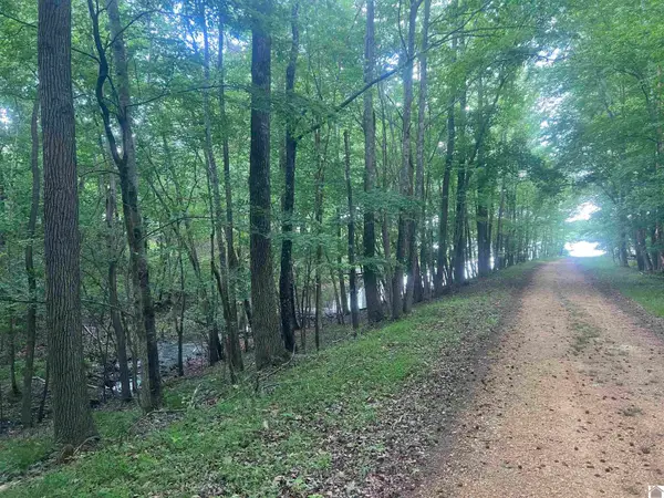 Lot 51 Block E Serenity Shores Rd., Benton, KY 42025