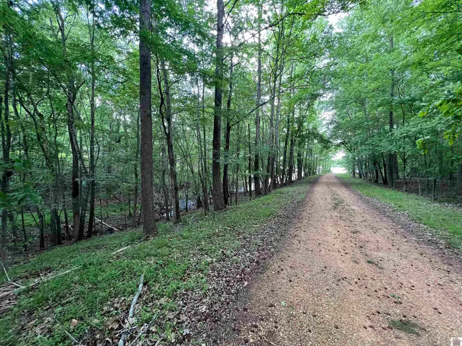 Lot 51 Block E Serenity Shores Rd., Benton, KY 42025 - #2
