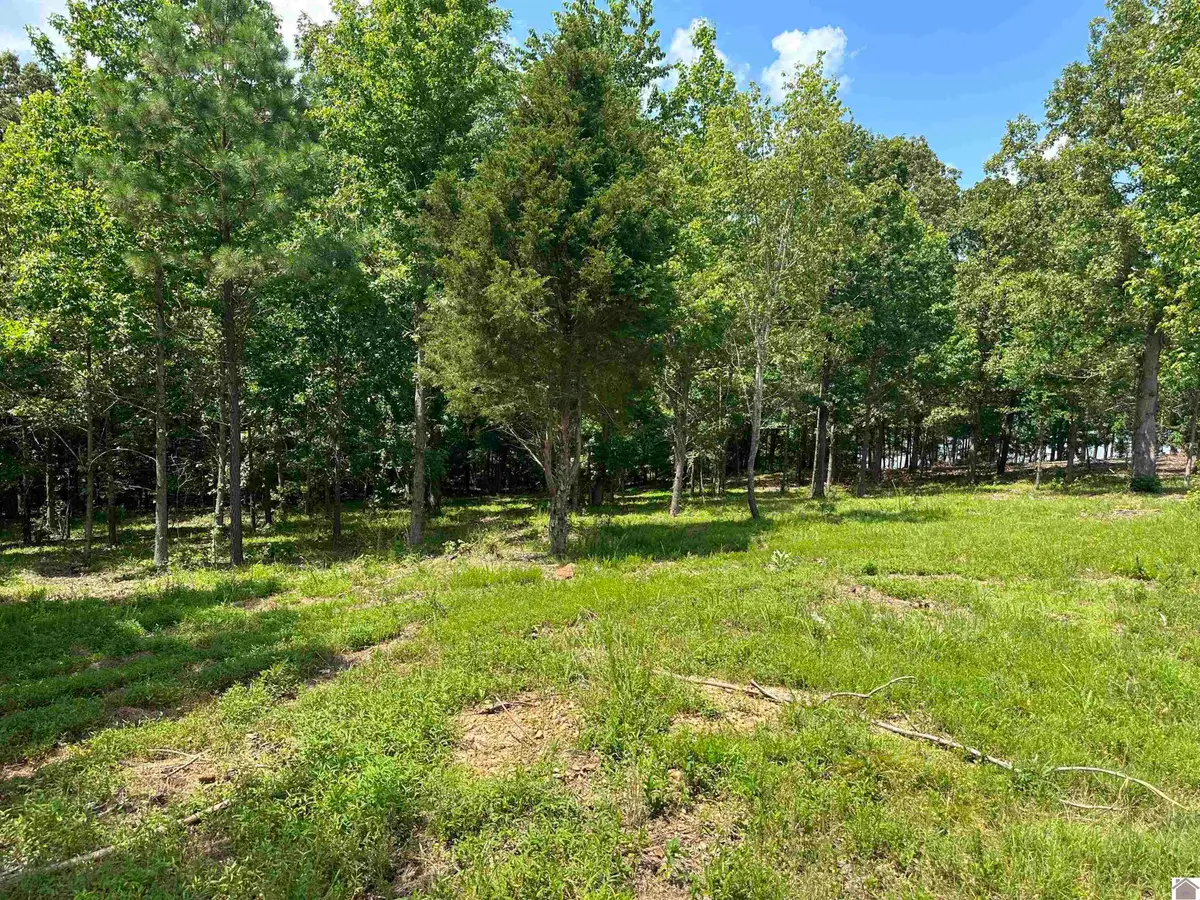 Lot 7 Tradition Dr, Benton, KY 42025 - #1