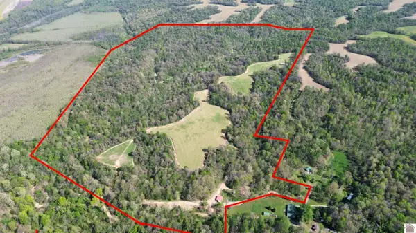 378 County Road 1219, Arlington, KY 42021